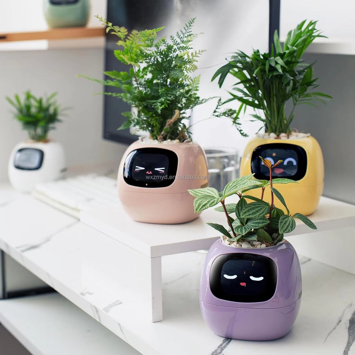 Smart Plant Pot - AI-Powered Pot That Makes Plant Care Fun