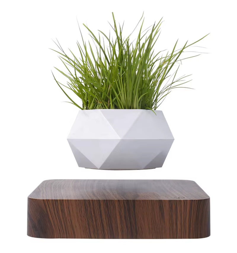 Levitating Air Bonsai Pot- High Quality Silicone Plant Cup Vase Magnetic Levitating Floating Flower Pot Bonsai Pot