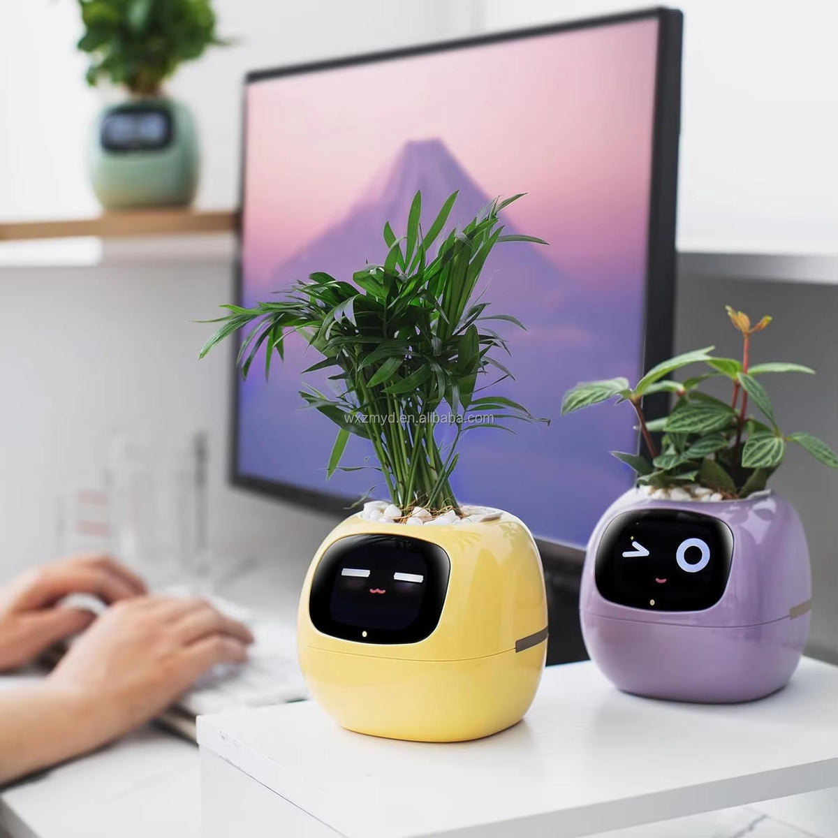 Smart Plant Pot - AI-Powered Pot That Makes Plant Care Fun